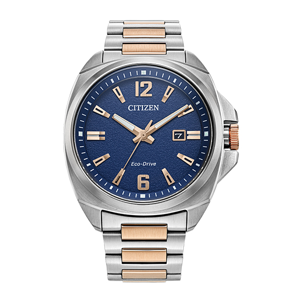 AW1726-55L Watch Endicott