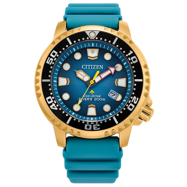 BN0162-02X Watch Promaster Diver