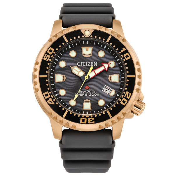 BN0163-00H Watch Promaster Diver