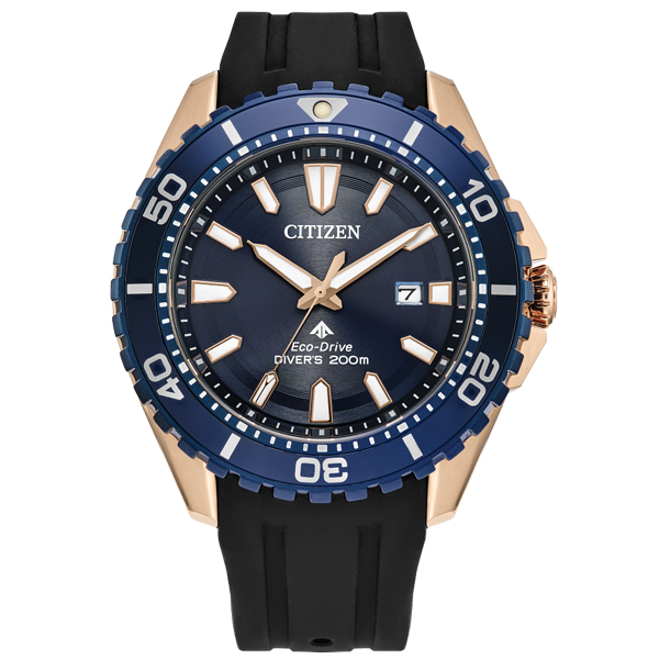 BN0196-01L Watch Promaster Diver