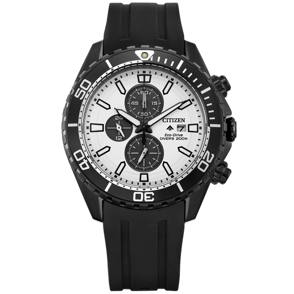 CA0825-05A Watch Promaster Diver